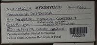 Image Associated With the Occurence
